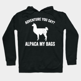 Adventure you say ? Hoodie